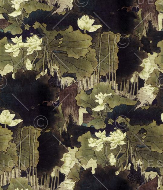 荷花印花华亿平台图片