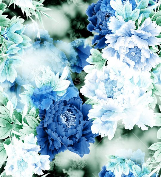 荷花印花华亿平台图片