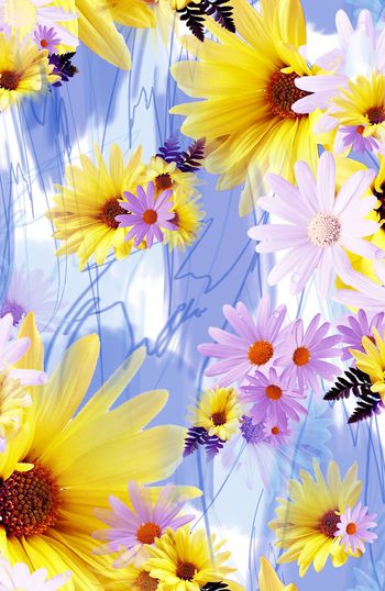 148763-WL2-0008B 副本-A