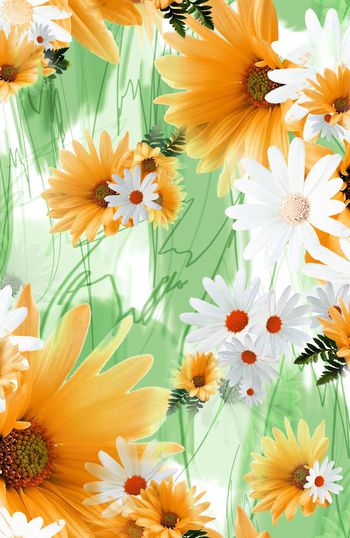 148769-WL2-0008B 副本-E