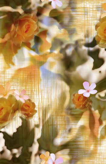 148835-WL2-0018B副本-c