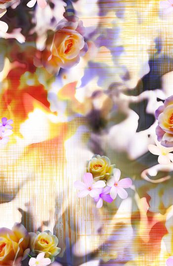 148838-WL2-0018B副本