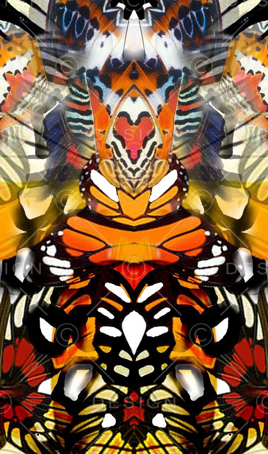 蝶纹印花华亿平台图片