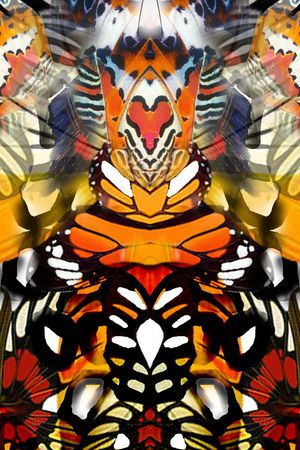 蝶纹印花华亿平台图片