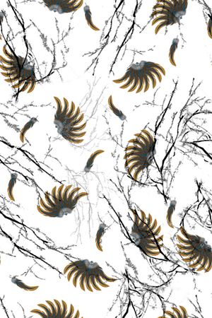 羽毛印花华亿平台图片