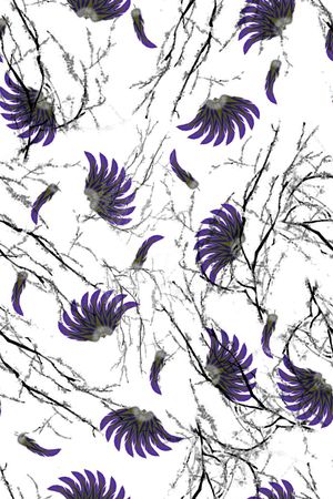 羽毛印花华亿平台图片