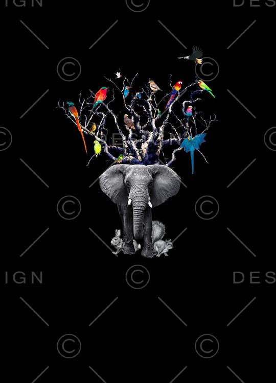 大象印花华亿平台图片