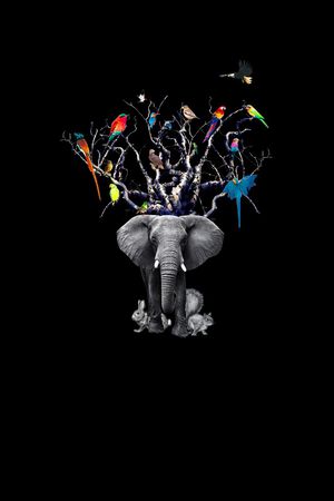 大象印花华亿平台图片