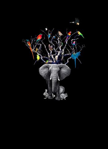 大象印花华亿平台图片