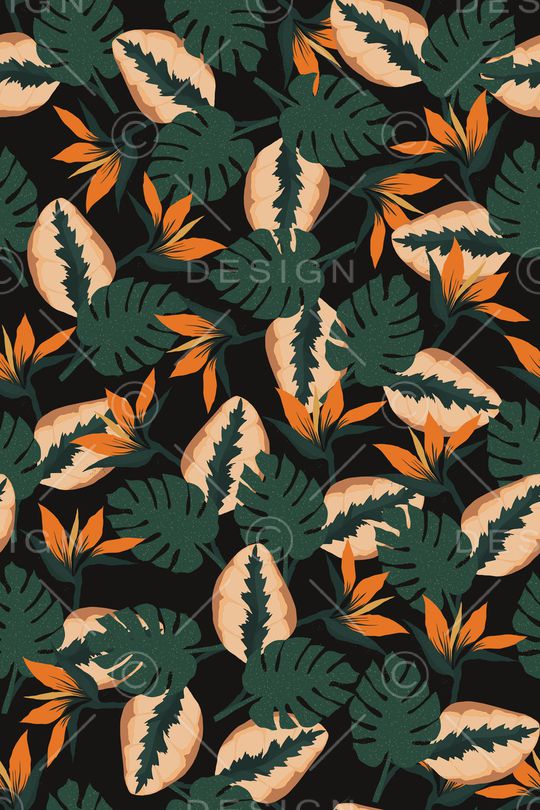 女装印花华亿平台图片