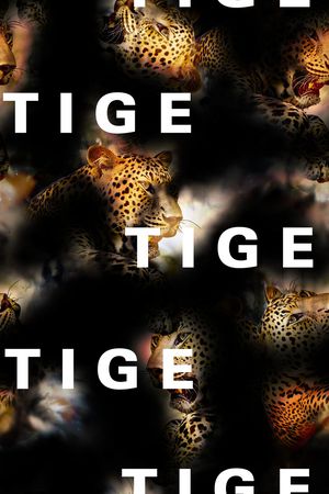 字母印花华亿平台图片