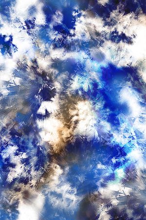 男装满版花印花华亿平台图片