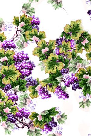 葡萄印花华亿平台图片