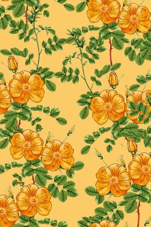 黑底花卉印花华亿平台图片