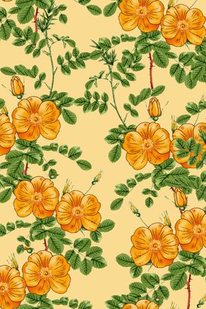 黑底花卉印花华亿平台图片