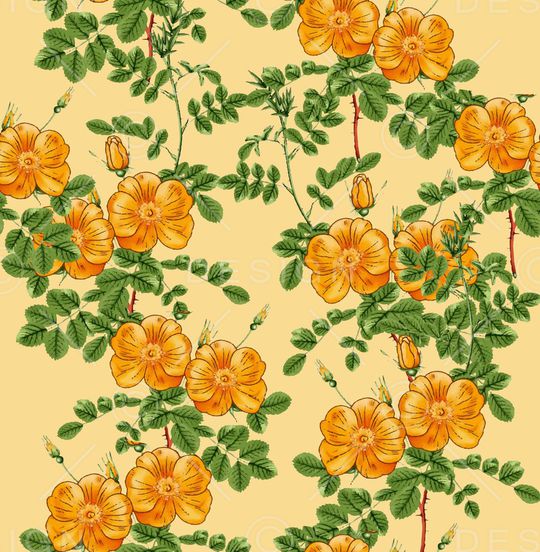 黑底花卉印花华亿平台图片