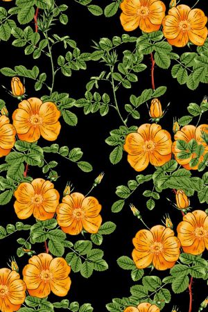 黑底花卉印花华亿平台图片