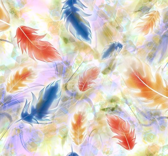 羽毛印花华亿平台图片