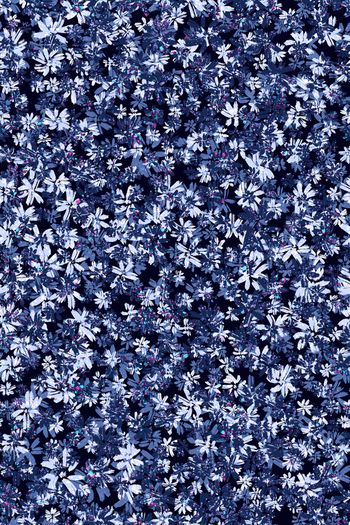 1489507-小碎花上传黑1