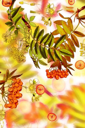 水果印花华亿平台图片