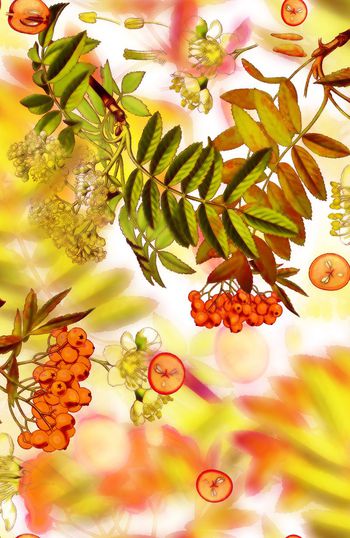 148960-WL2-0036B 副本-a