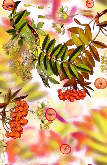 148962-WL2-0036B 副本-b