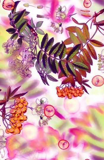 148978-WL2-0036B副本-c