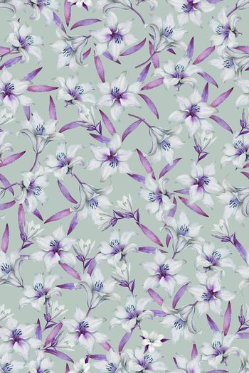 1489819-花卉20096-2