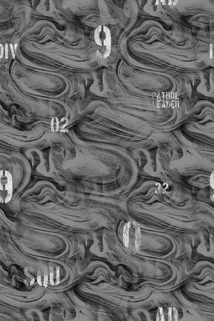 男装满版花印花华亿平台图片