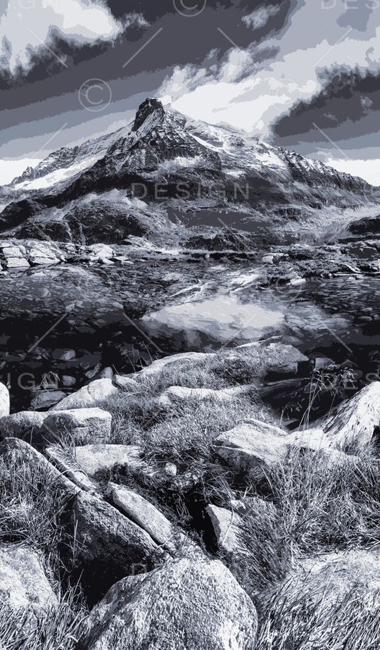 字母印花华亿平台图片