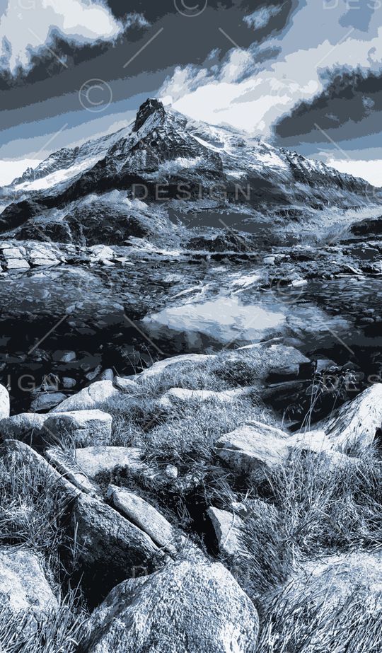 字母印花华亿平台图片