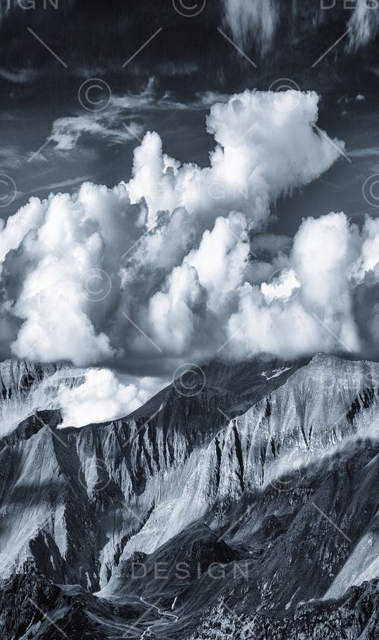 字母印花华亿平台图片