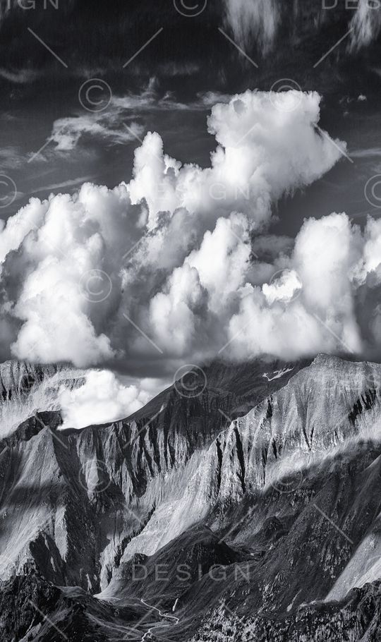 字母印花华亿平台图片