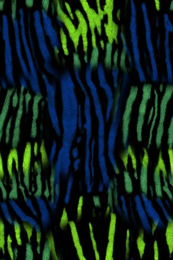 1490605-靡窕扎染