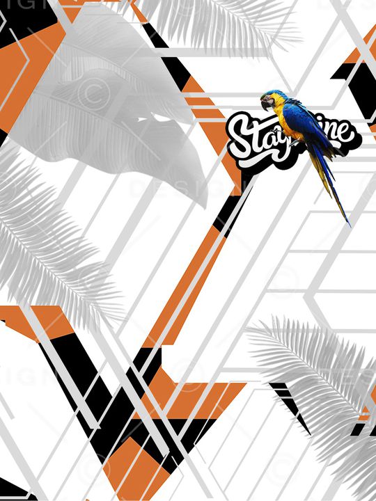 字母印花华亿平台图片