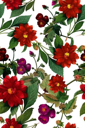 女装印花华亿平台图片