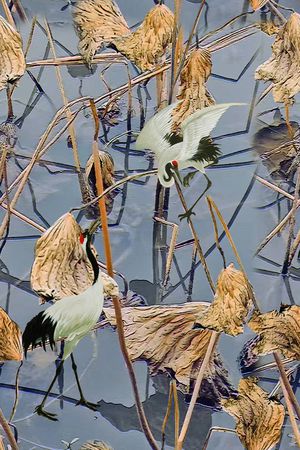 仙鹤印花华亿平台图片