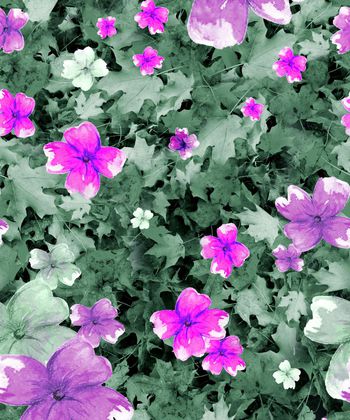 149147-wl2-0051F配色2