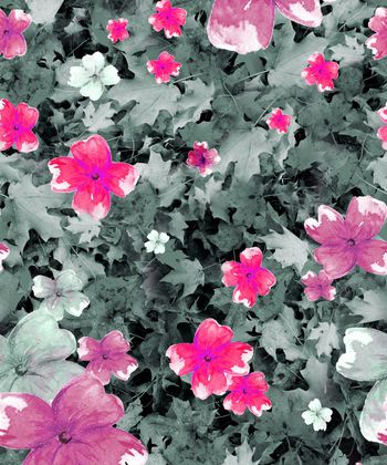 149148-wl2-0051F配色3