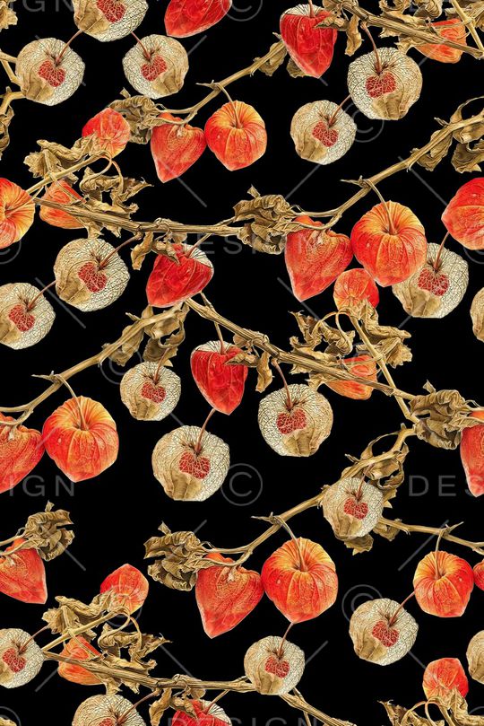 黑底花卉印花华亿平台图片