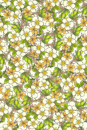 女装印花华亿平台图片