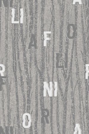 肌理印花华亿平台图片