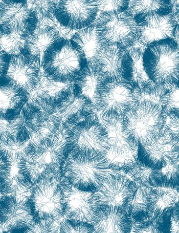 线条印花华亿平台图片