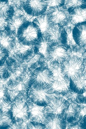 线条印花华亿平台图片