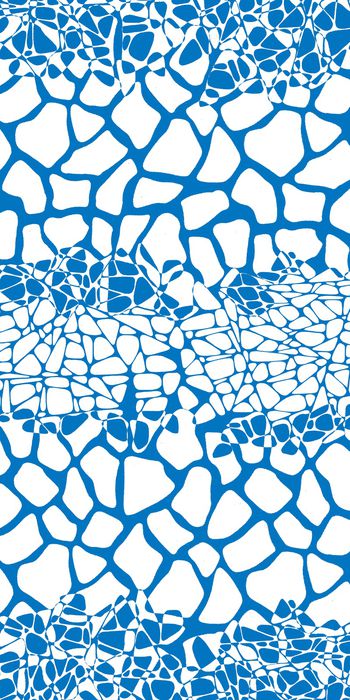 1492125-20215075070-1