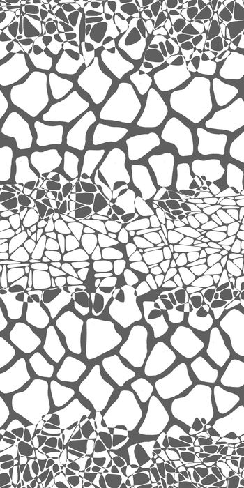 1492126-20215075070-2