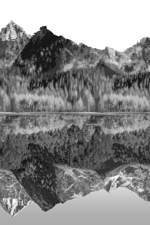 绿植树叶印花华亿平台图片