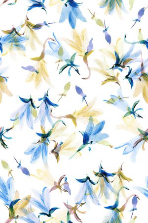 清爽底花卉印花华亿平台图片