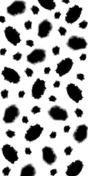 1492253-20215075071-1