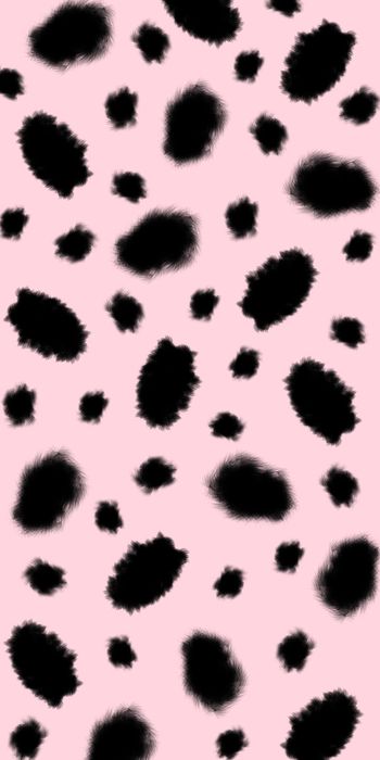 1492254-20215075071-2